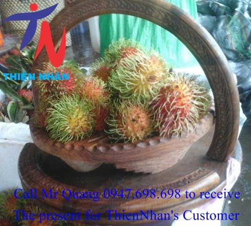 lang-dung-hoa-trai-cay-mut-keo-bang-go-xuat-xu-pakistan-qua-tang-tri-an-khach-hang